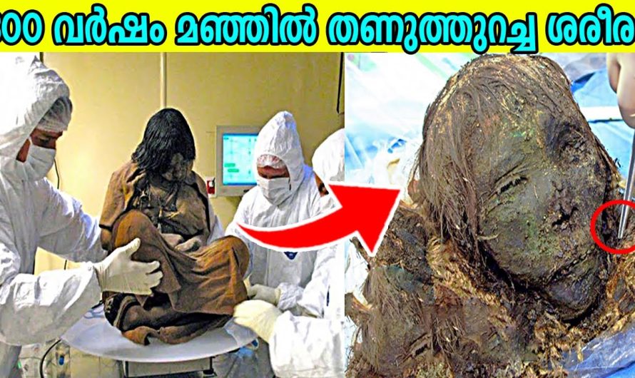 300 വർഷം മഞ്ഞിൽ തണുത്തുറഞ്ഞ ശരീരം പുറത്തെടുത്തപ്പോൾ