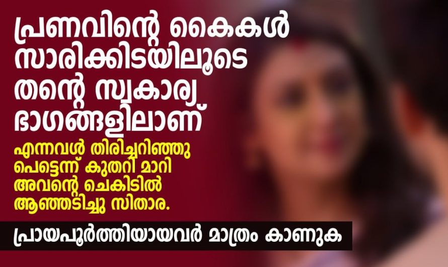 സാരിക്കിടയിലൂടെ തന്റെ സ്വകാര്യ ഭാഗങ്ങളിലാണ് എന്നവൾ തിരിച്ചറിഞ്ഞു