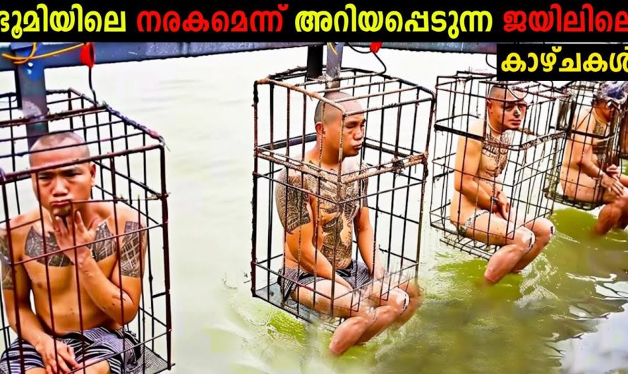 നരകതുല്യമായ ലോകത്തിലെ ജയിലുകളിലെ ശിക്ഷകൾ!😱