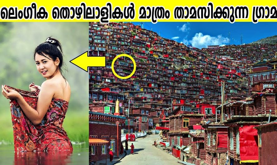 ലൈം…ഗീ..ക തൊഴിലാളികൾ മാത്രം താമസിക്കുന്ന ഗ്രാമം