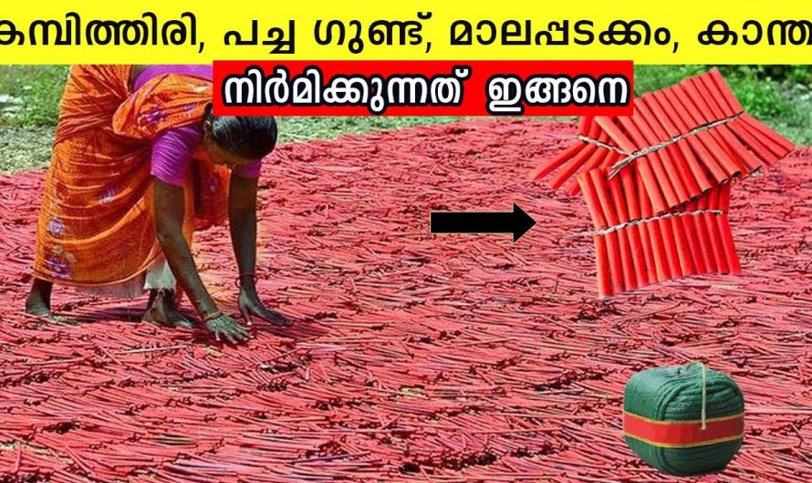 മാലപ്പടക്കങ്ങൾ നിർമ്മിക്കുന്ന സ്ഥലങ്ങളിലേക്ക് ഒന്നു പോകാം