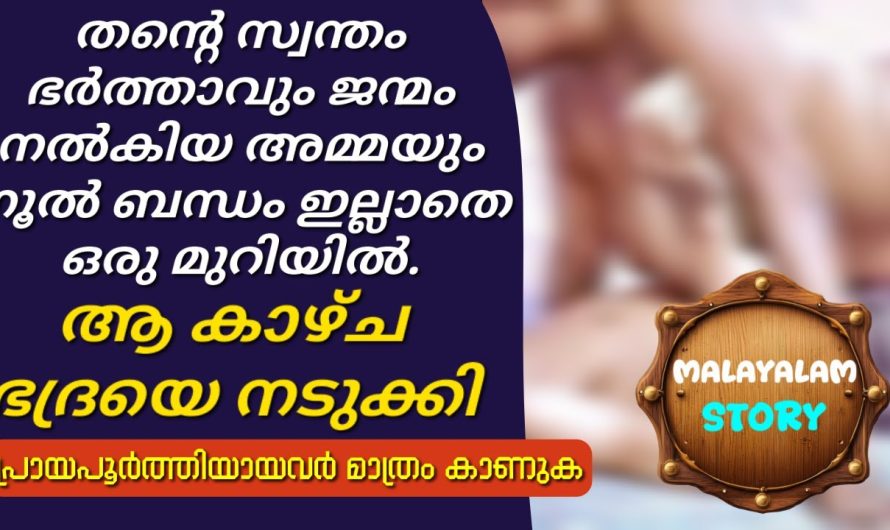 തന്റെ സ്വന്തം ഭർത്താവും ജന്മം നൽകിയ അമ്മയും നൂൽ ബന്ധം ഇല്ലാതെ ഒരു മുറിയിൽ