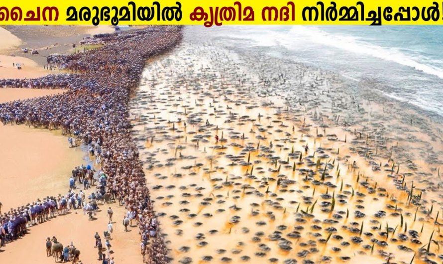 പിന്നെ നടന്നത് ചരിത്ര സംഭവം!!😱