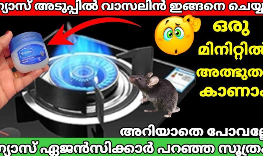 വാസലിൻ ഇങ്ങനെ ചെയ്യൂ 6 മാസം ആയാലും ഗ്യാസ് തീരില്ല ഒരു മിനിറ്റിൽ കാണാം അത്ഭുതം