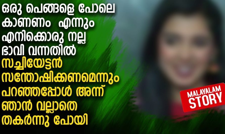 ഒരു പെങ്ങളെ പോലെ കാണണം, എനിക്കൊരു നല്ല ഭാവി വന്നതിൽ സച്ചിയേട്ടൻ സന്തോഷിക്കണമെന്നും പറഞ്ഞപ്പോൾ