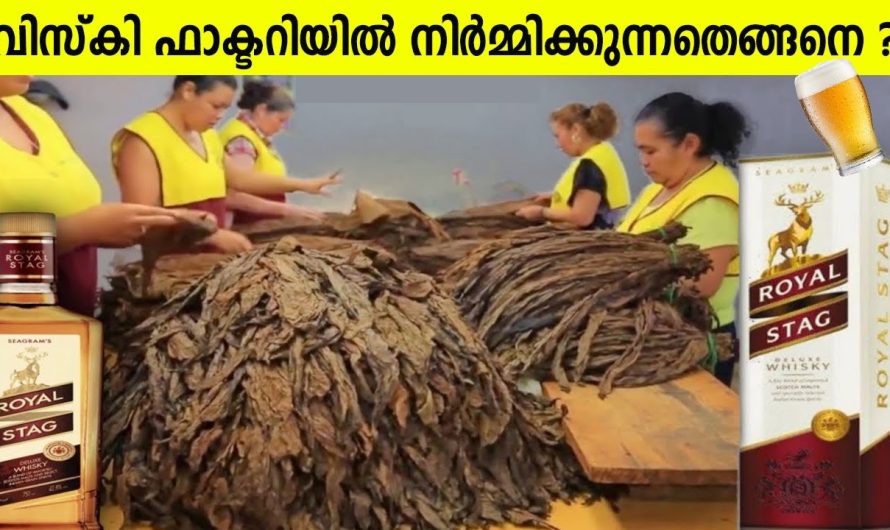 റോയൽ സ്റ്റാഗ്ഗ് വിസ്കി ഫാക്ടറിയിൽ നിർമ്മിക്കുന്നതെങ്ങനെയെന്നറിയണ്ടേ ?