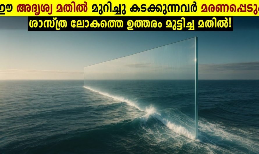 ഈ മതിൽ കടക്കുന്നവർ ജീവനോടെ തിരിച്ചു വരില്ല!😱